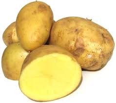 http://t0.gstatic.com/images?q=tbn:ANd9GcS_L_Uw8gt7XyBnUKfrpZM3TqvZ0ZKtxD4PZWC_jYeIyloAKtEGiZ1nL95x