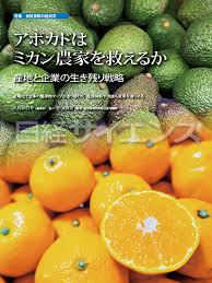 「アボカド大臣」の画像検索結果