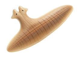 Attēlu rezultāti vaicājumam “Plathelminthes”