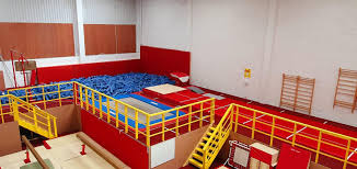 Image result for Phoenix Gymnastics Club