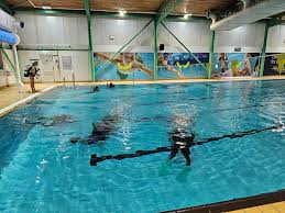 Image result for Dearne Valley Swimming Club