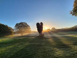 Image result for Maidenhead Lawn Tennis Club