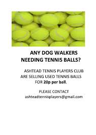 Image result for Ashtead Tennis Players