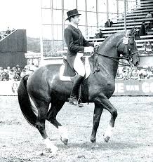 Image result for Uwe Riding Club