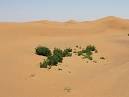 The Sahara Desert: Wildlife, Plants, People and Cultures ...