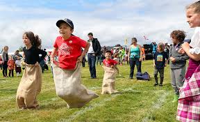 Image result for Lochcarron Camanachd