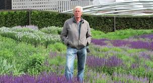 Image result for Piet Oudolf
