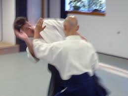 Image result for Coldharbour Aikido Club