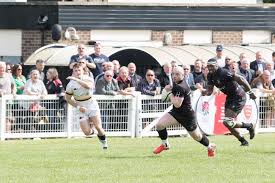 Image result for Rochford Hundred Rugby Club