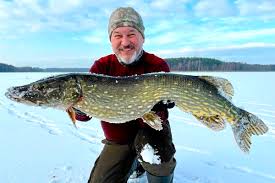 Image result for рыбалка