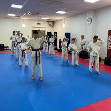 Image result for Taekwondo Witney