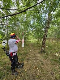 Image result for Acorn Archers