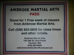 Image result for Taunton Karate academy