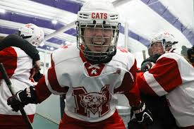 Image result for New Milton Hockey Club