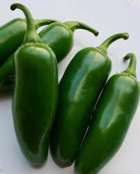 Afbeeldingsresultaat voor jalapeno early hot pepper