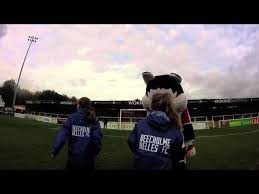 Image result for Beecholme Belles Football Club