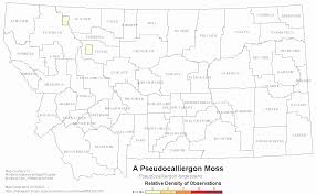 Attēlu rezultāti vaicājumam “Pseudocalliergon turgescens”