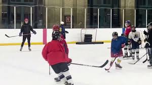 Image result for Haringey Junior Ice Hockey Club
