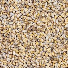 Image result for Weizen