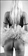 Toronto Escorts - Euro Dolls Escorts