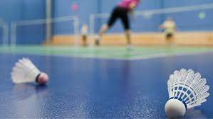 Image result for Addison Exiles Badminton Club