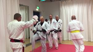Image result for Ronin Yudansha Ryu