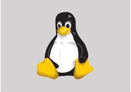 Image result for linux art