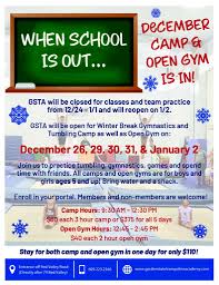 Image result for White Rose Trampoline Academy