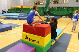 Image result for Farnham Gymnastics Club