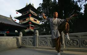 Image result for Shaolin Nam Pai Chuan Kung Fu - Manchester Martial Arts Centre