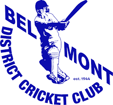 Image result for Consett & District Cricket Club