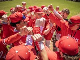 Image result for Norwich Iceni Baseball Club