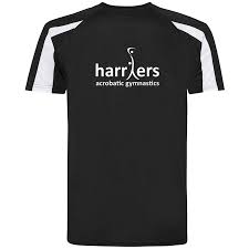 Image result for Harriers Acrobatic Gym Club