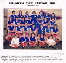 Image result for Heatherton village fc