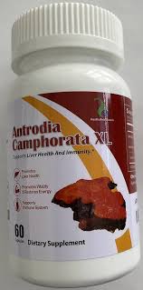 Attēlu rezultāti vaicājumam “Antrodia”