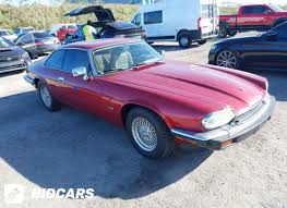 Image result for Flamenco 1993 Jaguar