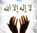 http://t0.gstatic.com/images?q=tbn:ANd9GcS_XbXIBKG8-TNbC1-1YzHabId5E4mOZ69vwzvDm8qMIEzwE0Av6iiXvw