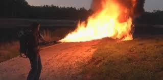 Image result for fps russia