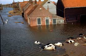 Image result for zeeland 1953