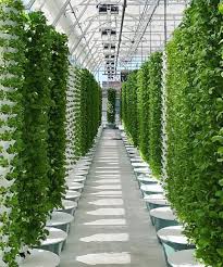 Image result for agrobellon tehron