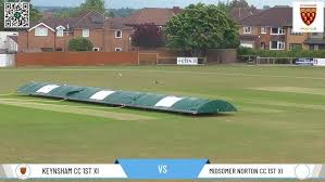 Image result for Midsomer Norton Cricket Club