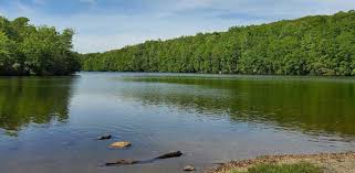 Image result for Ringwood Canoe Club