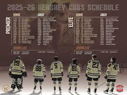 Image result for Hersham Hockey Club