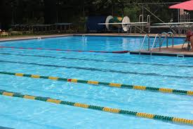 Image result for Hazel Grove & Bramhall Swimming Club