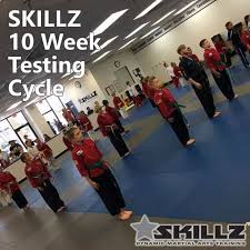 Image result for Skillz Martial Arts