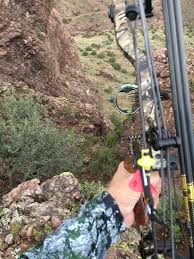 Image result for Fleet Ibex Field Archery Club