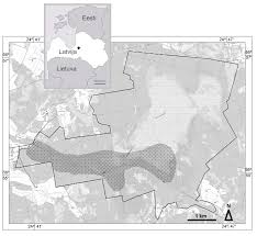 Attēlu rezultāti vaicājumam “Campylophyllum sommerfeltii”
