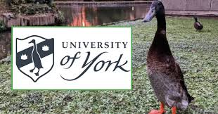 Image result for University of York
