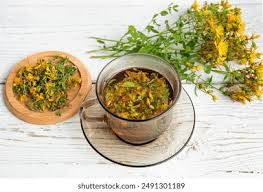 Attēlu rezultāti vaicājumam “Hypericum perforatum fruit”