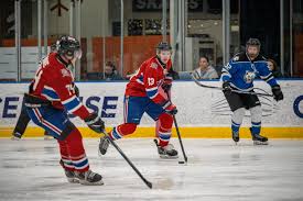 Image result for Demons Skater Hockey Club